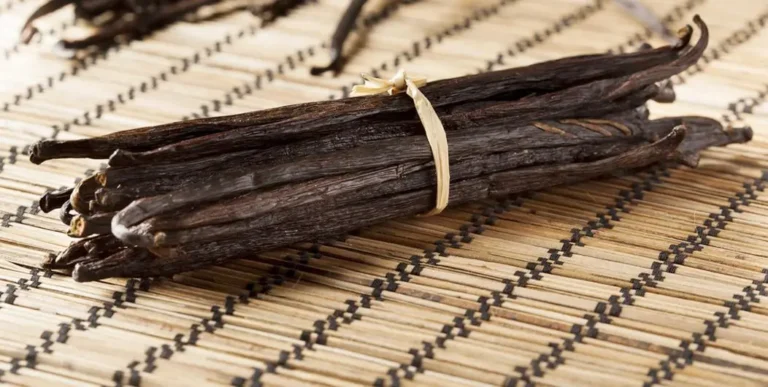 variétés de vanille rares | Sri Lanka | Vamido